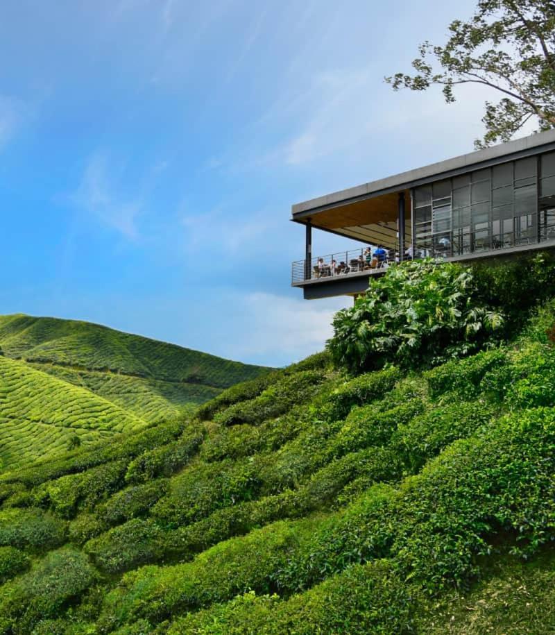 Myuko Homestay Бринчанг Екстер'єр фото